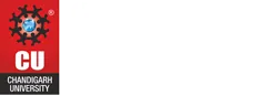 Chandigarh University